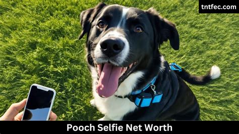 4 million of these families having a negative net worth. . Pooch selfie net worth